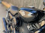 2019 HARLEY-DAVIDSON 500CC CRUISER XG500 STREET 500 MY19