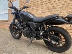 2023 HONDA 500CC ROAD CL500 MY23
